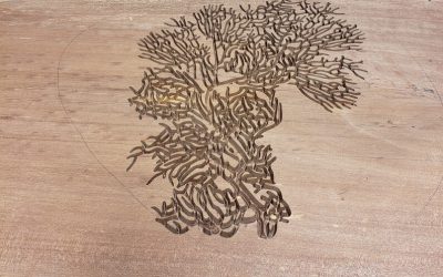 CNC Wood Carved Slab